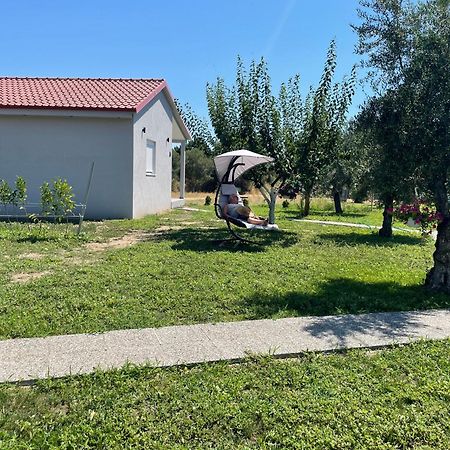 Ktima Mimoza Apartment Сикия Екстериор снимка