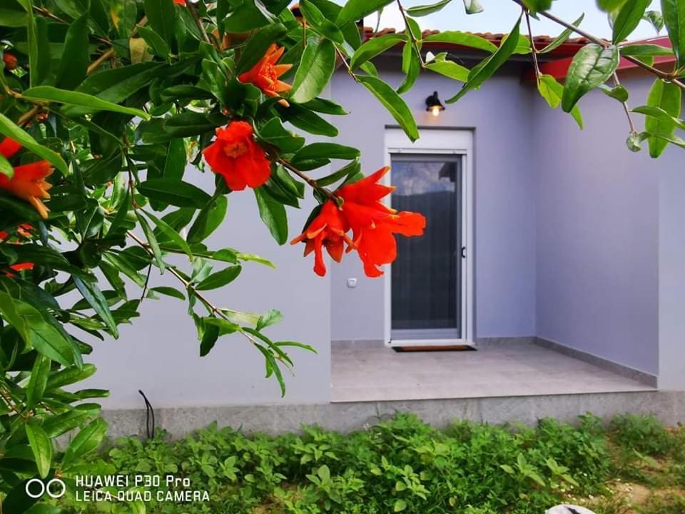 Ktima Mimoza Apartment Сикия Екстериор снимка