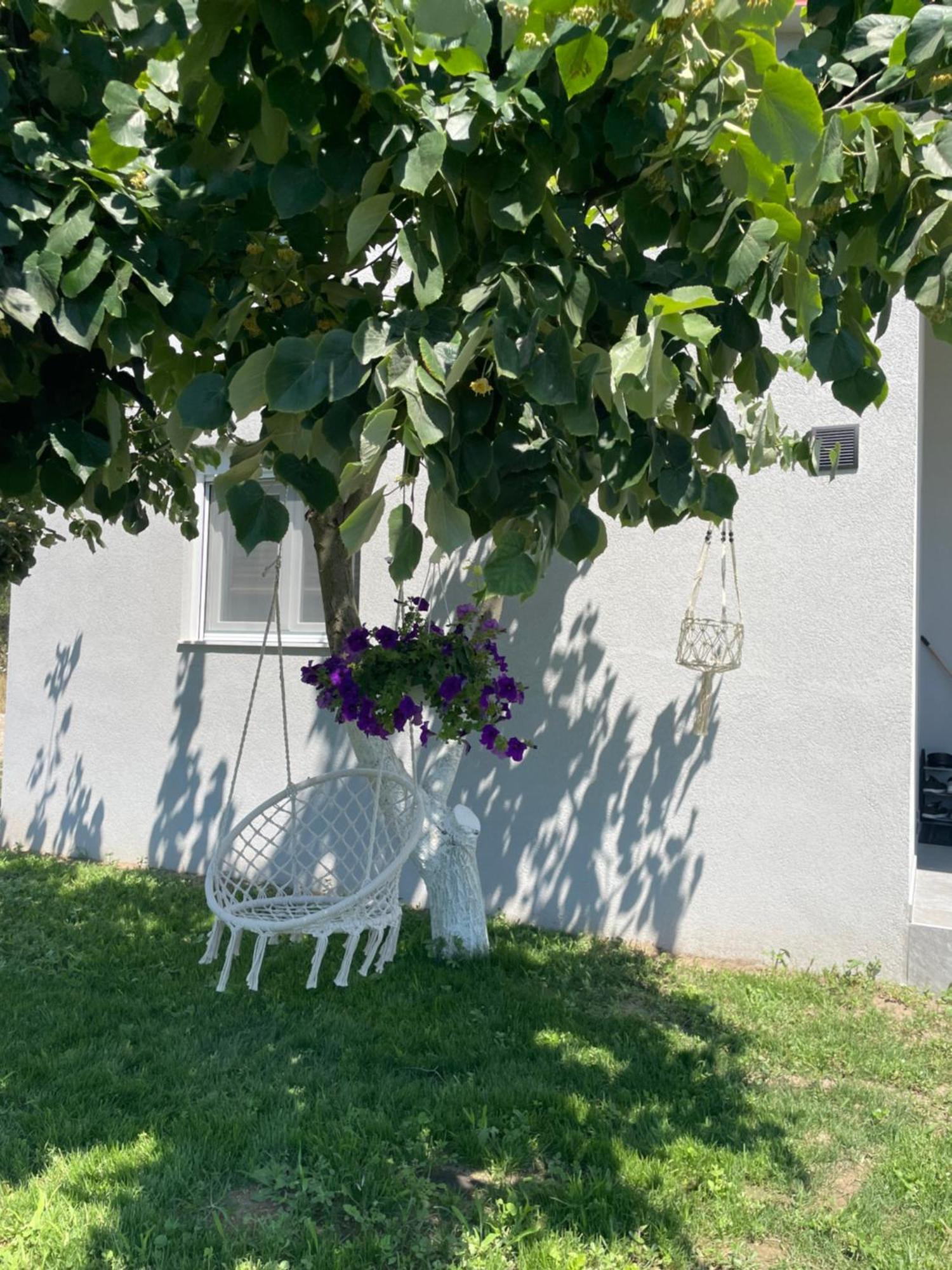 Ktima Mimoza Apartment Сикия Екстериор снимка